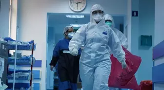 Bolu'da bir hastada deli dana hastalığı tespit edildi