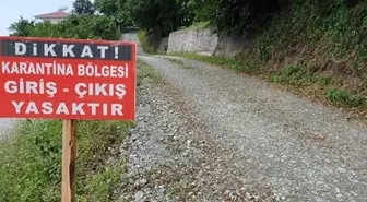 O kentimizde şap hastalığı paniği! Çok sayıda mahalle karantinaya alındı