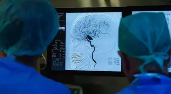 Türkiye'de yıllar sonra 2 vaka görüldü! Tedavisi yok, komaya götürüyor