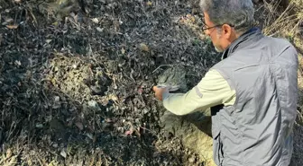 Yeni faylar tespit edildi! Prof. Dr. Sözbilir'den beşik gibi sallanan kente korkutan uyarı