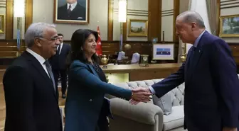 DEM Parti İmralı Heyeti, Abdullah Öcalan ile görüşecek