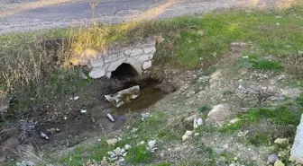 Çanakkale'de boş arazide kız bebek cesedi bulundu