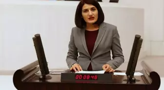 Eski HDP milletvekili Semra Güzel'e 8 yıl 9 ay hapis cezası ve tahliye