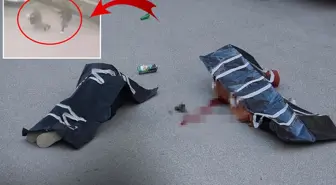 Sokakta kovaladığı kadını öldürüp intihar etti! Kan donduran olay kamerada