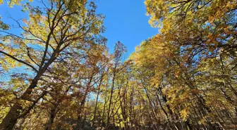 Dünyada bir tek Isparta'da var! İzinsiz girmenin cezası bir servet değerinde