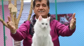 Sanatçı Aydın Aydın, Nesli Tükenmekte Olan Van Kedisiyle Düet Yaptı