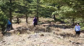 Kilosu etle yarışıyor! Japonların gözdesi 'beyaz altın'da hasat başladı