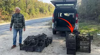 Saatlerde gezip 3 adet bulabiliyorlar! Kiloyla değil gramla satılıyor