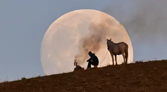 Van'da çekildi, herkes bu kareyi paylaşıyor