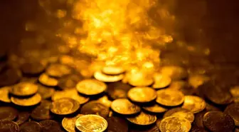 Bahçeden çıkan servet! Tam 500 parça, birinin değeri 52 milyon TL