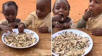 Yapay zeka değil gerçek! Yedikleri şeyin ne olduğunu bir bilseniz