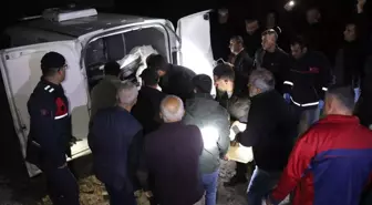 Ormana odun toplamaya giden yaşlı çiftin cansız bedenleri 2 gün sonra bulundu