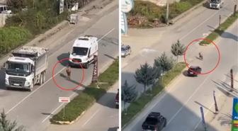Sahibinin elinden kaçtı, trafiği birbirine kattı