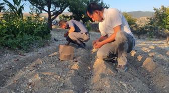 İlçede 'kırmızı altın' mucizesi! İlk hasadında 150 gram ürün elde etti