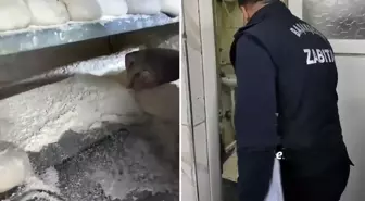 İstanbul'da ekmek fırınında mide bulandıran görüntüler