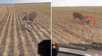Nasıl olduğuna kimse anlam veremiyor: Bozkırın ortasında dehşete düşüren görüntü