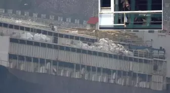 Utanç tablosu Türkiye'den! İnekler susuzluktan boruları yaladı