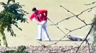 Edirne'de sahipsiz köpeği sürükleyen belediyede personeli gözaltına alındı