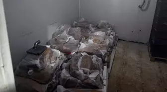 Yakalanmasa vatandaşlara yedireceklerdi! 60 tondan fazla ele geçirildi