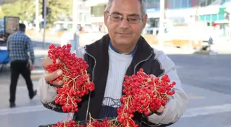 'Gençlik iksiri' tezgahlardaki yerini aldı! Faydaları saymakla bitmiyor