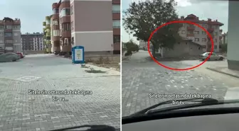 Görenler gözlerine inanamıyor! İşte koca sitenin içindeki müstakil evin sırrı