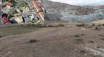 Bir ketimizin kaderini değiştirecek keşif: Değerine paha biçilemiyor