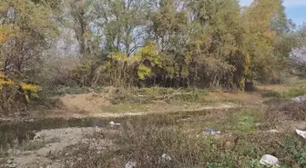 Gürcistan'da Türk vatandaşı ormanlık alanda ölü bulundu