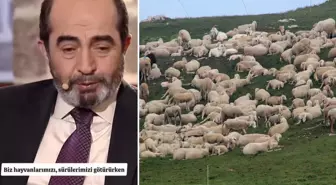 Şehit mezarının yeri, koyun sürüsünün garip davranışıyla fark edildi: O alanı kazınca...