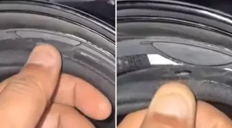 Motosiklet kaskının içinden çıkan şey inanılmaz