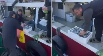 Kasalar dolusu balığı bedava dağıttılar! Nedeni de bir o kadar ilginç