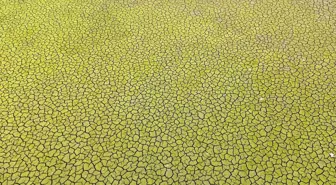 İstanbul için kıyamet senaryosu: Bu şekilde yaza girersek felaket olur