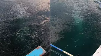 Bir şehrimiz, sudaki esrarengiz görüntüyü konuşuyor: Bayağı kaynıyor