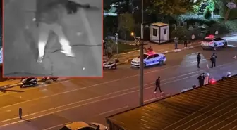 Sokak ortasında meydan savaşı! Uzun namlulu silahlar bile kullanıldı