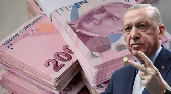 Cumhurbaşkanı Erdoğan'ın seçim vaadiydi! Vatandaşlık maaşı geliyor