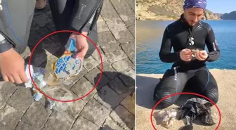 Barajdan çıkanlar tüyler ürpertti! Hemen dışarıya çıkarılıp yakıldı