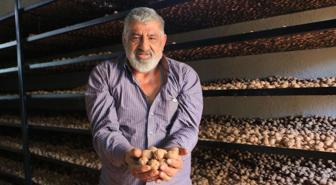 Avrupa’daki kazancını katladı! Memleketine dönen gurbetçi parayı tarlasında buldu