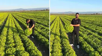 'Satarsam şerefsizim' diyen İzmirli çiftçinin isyanı pahalıya patladı