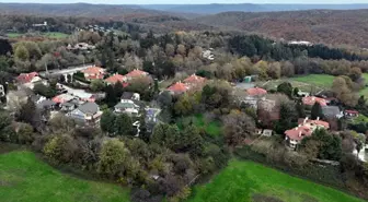 İstanbul'daki küçük Polonya! Her şey iki alay askerin gelişiyle başladı