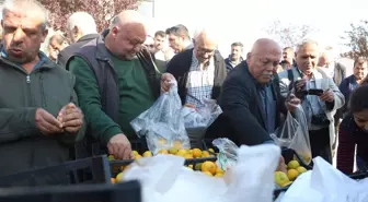 Marketlerde 30 TL'ye satılıyor! Fiyatı 2 TL'ye düşünce tonlarcasını ücretsiz dağıttılar