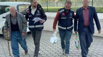 Parkta uygunsuz davranışta bulunan 2 yaşlı erkek gözaltına alındı