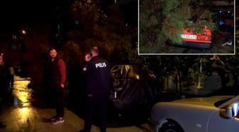 Antalya'da şiddetli rüzgar ağaç devirdi