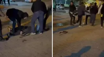 Taş, sopa ve bıçaklar kullanıldı! İki grup arasında kavga