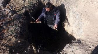 Altın bulmak için 600 yıllık mezarları kazıp kemikleri çıkardılar