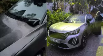 Avukat sitede terör estirdi! 40 araç zarar gördü