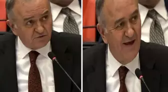 Meclis'te kahkahalara yol açan dil sürçmesi: Şişt, şişt sakin ol...