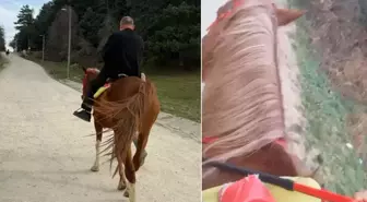 Kaçan at üzerinde 300 metrelik dehşet!
