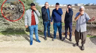 Koca bir ilçe kokudan yerinde duramıyor! Hepsini vatandaşa yedirmişler