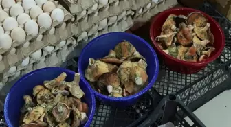 'Köy geçiren' olarak biliniyor, 5 saat içinde etkisini gösteriyor! 60 kişiyi hastanelik etti