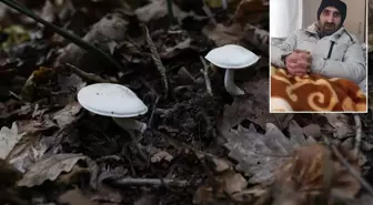 Pazardan aldığı mantardan zehirlenen adamdan uyarı