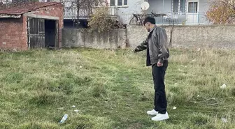 Eskişehir'de boş arazide şiddete uğradıkları değerlendirilen 8 kedi ölüsü bulundu